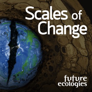 Scales of Change