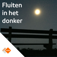 Hoorspel : Fluiten in het donker podcast