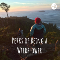 Perks of Being a Wildflower podcast