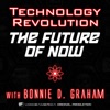 Technology Revolution: The Future of Now artwork