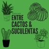 Entre Cactos & Suculentas artwork