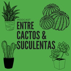 Falsos Cactos