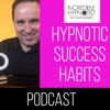 HYPNOTIC SUCCESS HABITS artwork