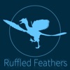 Ruffled Feathers artwork
