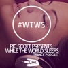 Ric Scott Presents: While The World Sleeps artwork