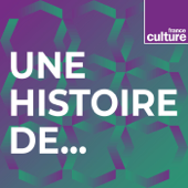 Une histoire de... - France Culture