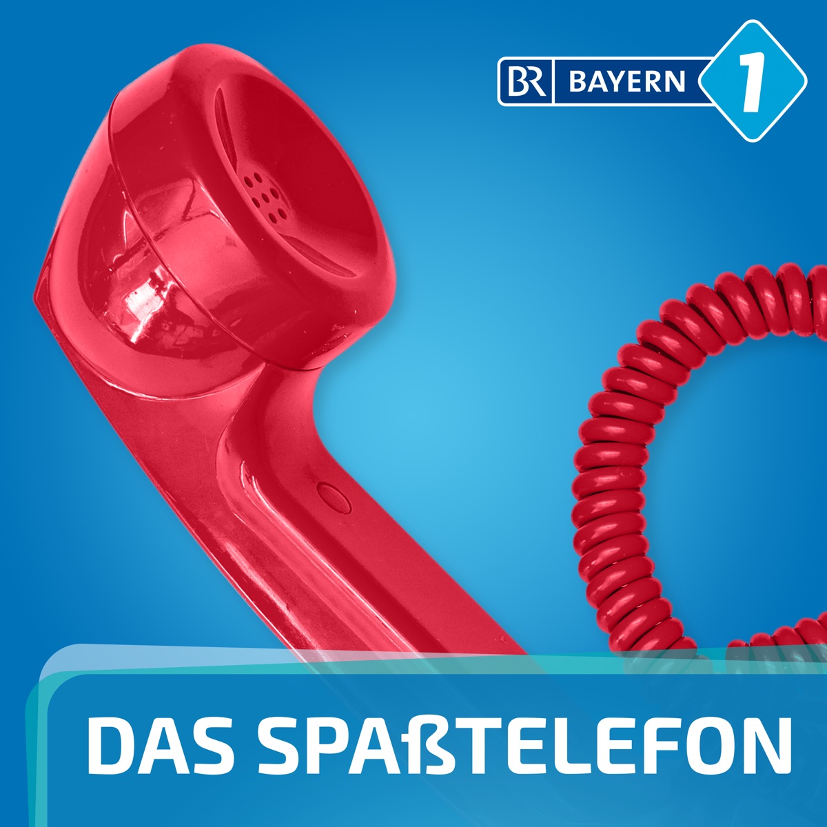 Bayern 1 Vogel Rudi Bayern 1 Vogel Rudi