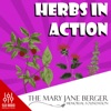 Herbs in Action artwork