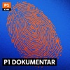 P1 Dokumentar