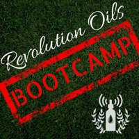 Revolution Oils Business Bootcamp | Your 30 Day Guide to Starting and Growing Your Young Living Essential Oil Business podcast
