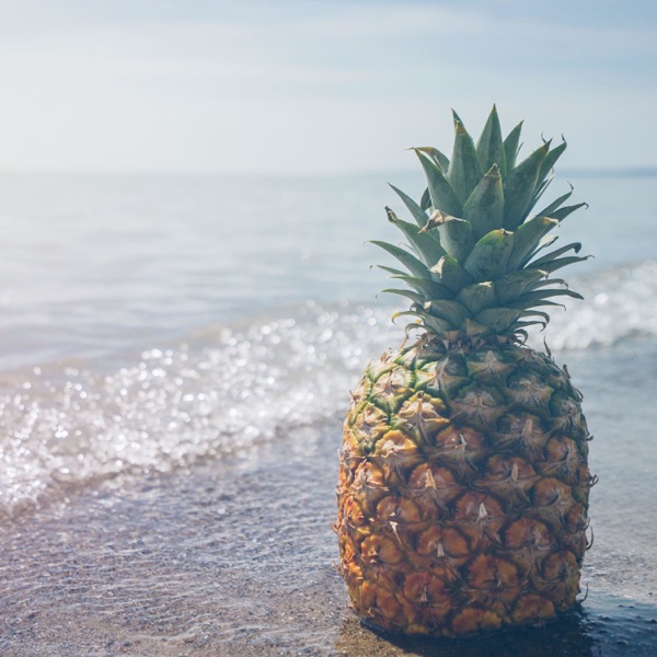 The Official Pineapple JUCE Podcast.