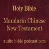 ABP - Mandarin Chinese Bible - New Testament - January Start artwork