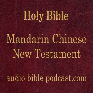 Day 281: acts 14-15