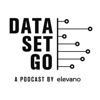 Data Set Go artwork