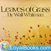 Leaves of Grass by Walt Whitman artwork