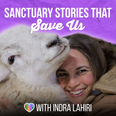 Sanctuary Stories That Save Us