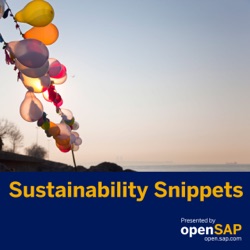 Sustainability Snippets