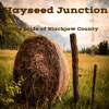 Hayseed Junction artwork