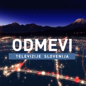 Odmevi z znakovnim jezikom