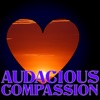 Audacious Compassion artwork