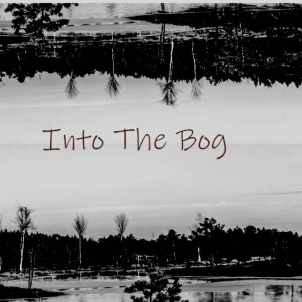 Into The Bog Artwork