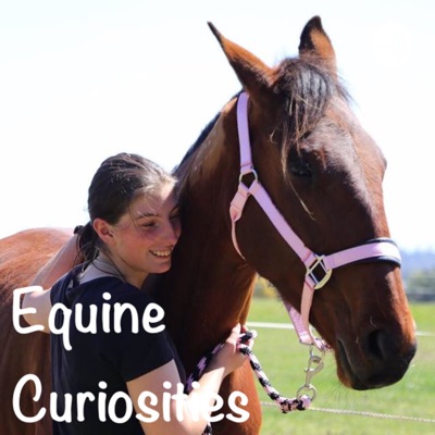 Equine Curiosities Equine Curiosities