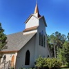Palmetto Presbyterian Church (USA) - Sermon Audio artwork