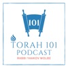 TORAH 101 - With Rabbi Yaakov Wolbe artwork