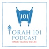 TORAH 101 - By Rabbi Yaakov Wolbe artwork