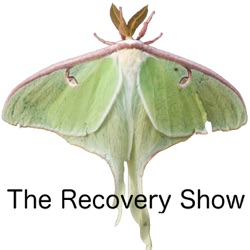 Finding Freedom from Gossip and Creating Positive Relationships in Recovery – 402