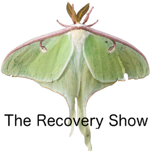 The Recovery Show » Finding serenity through 12 step recovery in Al-Anon – a podcast podcast