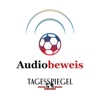 Audiobeweis - Der Tagesspiegel-Podcast zur WM artwork