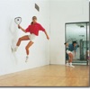 Racquetball - The King of Games! artwork