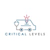 Critical Levels artwork