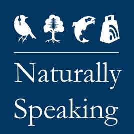 Naturally Speaking Episode 72 An Epic Undertaking On - 