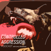Controlled Aggression - Jerry Bradshaw