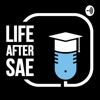 Life After SAE  artwork