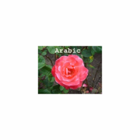 Arabic podcast
