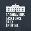 White House Coronavirus Task Force Daily Briefing artwork