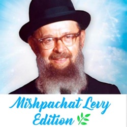 Toras Avigdor Junior - Netzavim- Vayeilech 5784