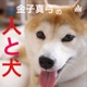 パピー期を過ぎた怖がる犬の対処方法