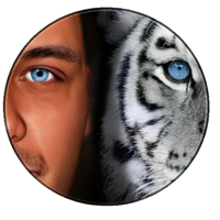 THE WORLD OF JULIEN FREJAVILLE ♪ podcast