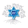 Shalom Macon: Messianic Jewish Teachings artwork