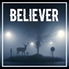 Believer: A Paranormal Mystery artwork
