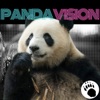 PandaVision - The Last Of Us artwork