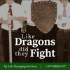 Like Dragons Did They Fight artwork