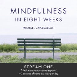 Mindfulness of Breathing (10-Minute Version)