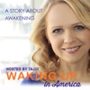 Waking Up In America artwork