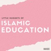 Little Nuggets of Islamic Reminders artwork