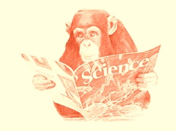 Science Monkey